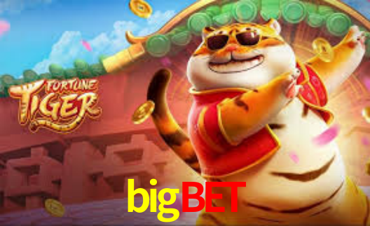 bigbet,big bet win
